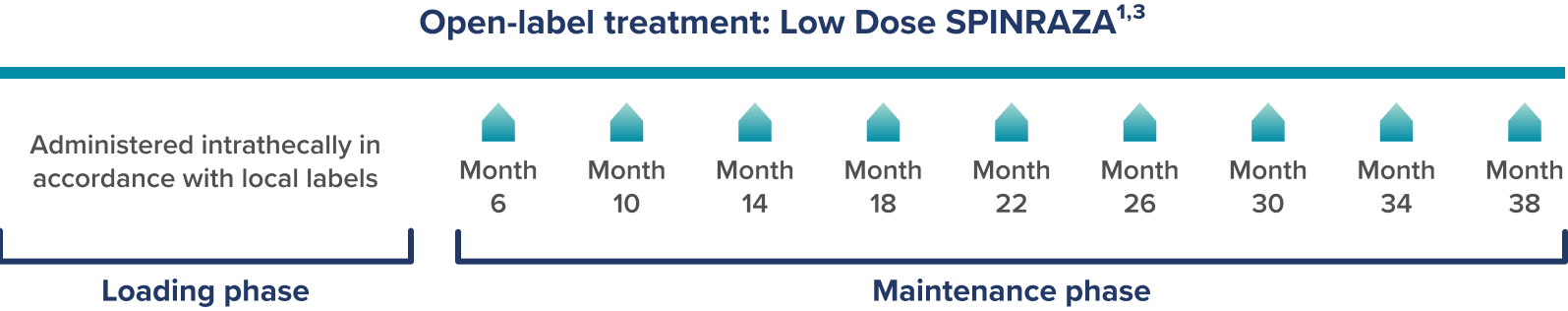 Dosing frequency graphic from the Gunther real-world study