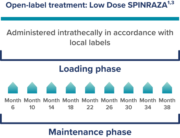 Dosing frequency graphic from the Gunther real-world study