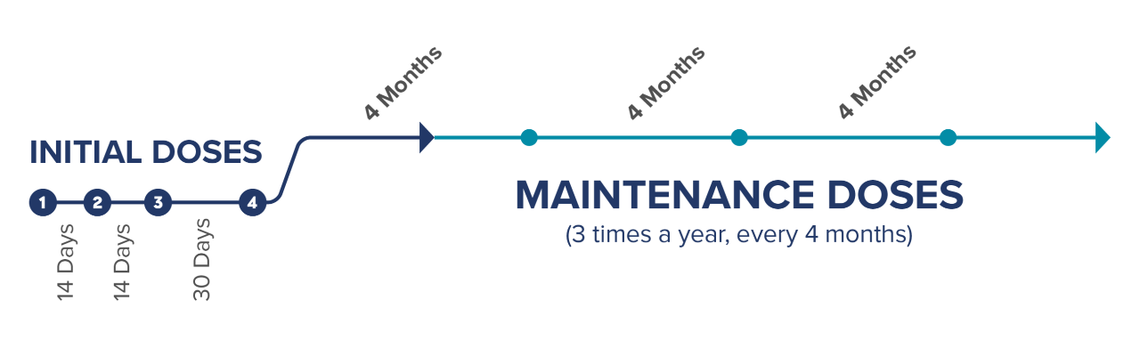 Image of Spinraza dosing schedule