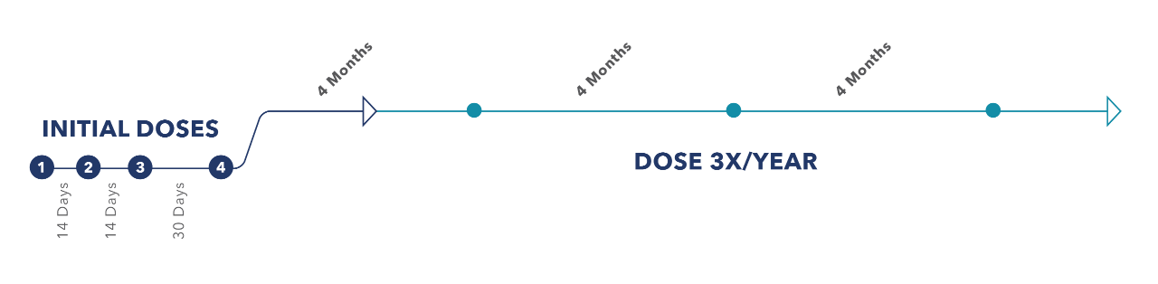 Image of the SPINRAZA dosing schedule