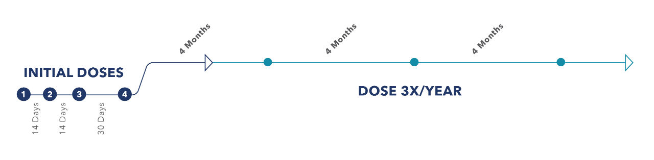 Image of SPINRAZA dosing schedule